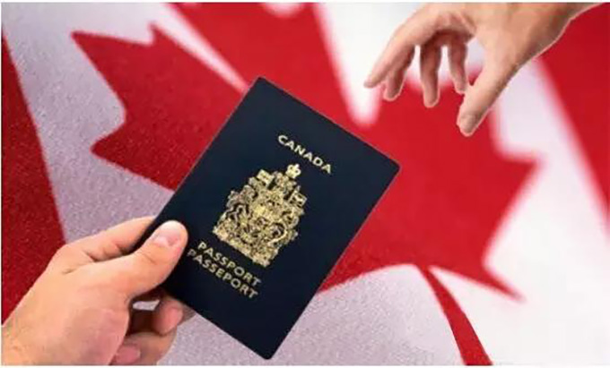 加拿大移民部又突发福利，所有这些签证都可以恢复！